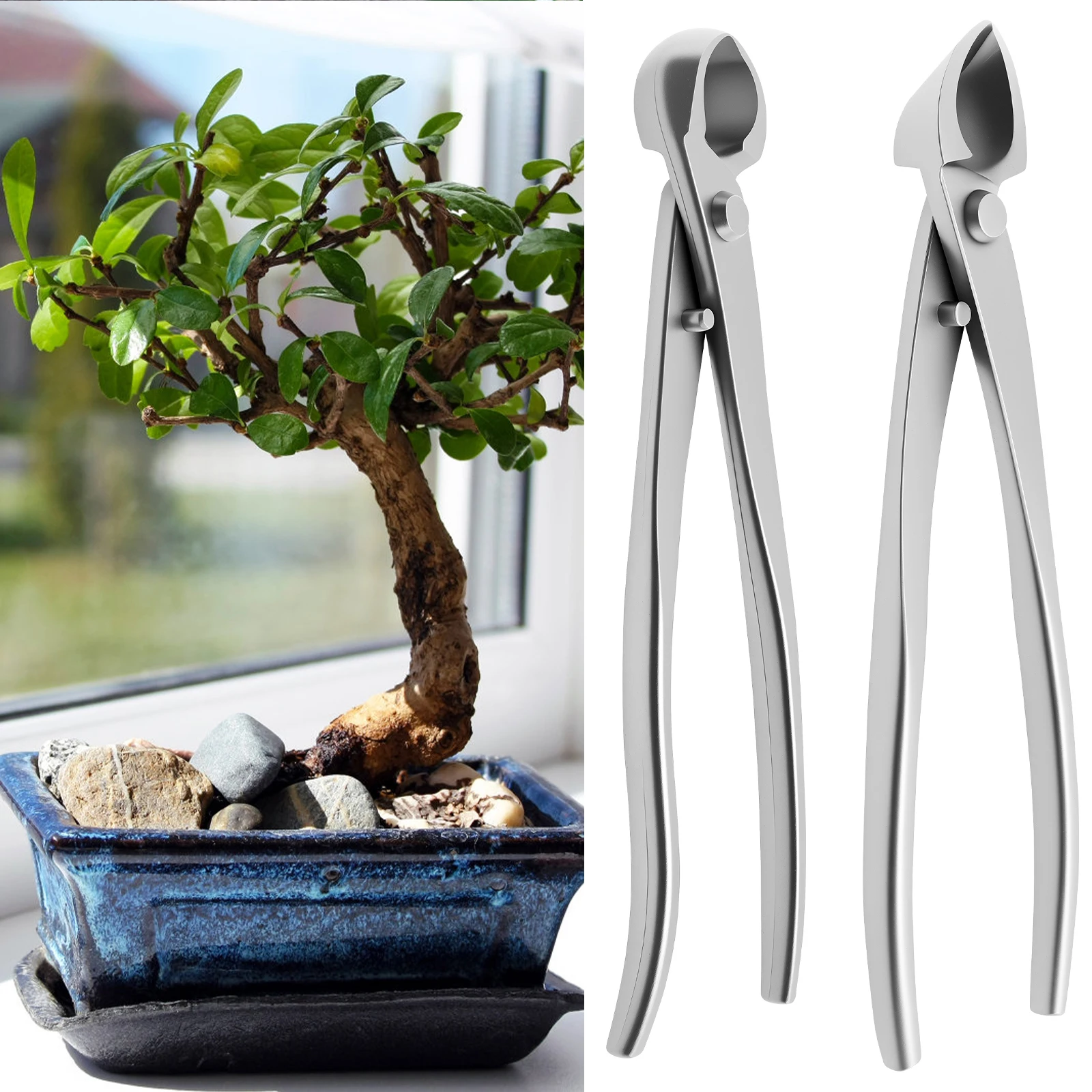 Bonsai Grooming Kit Stainless  - Bonsai Garden Timings 评论和价格