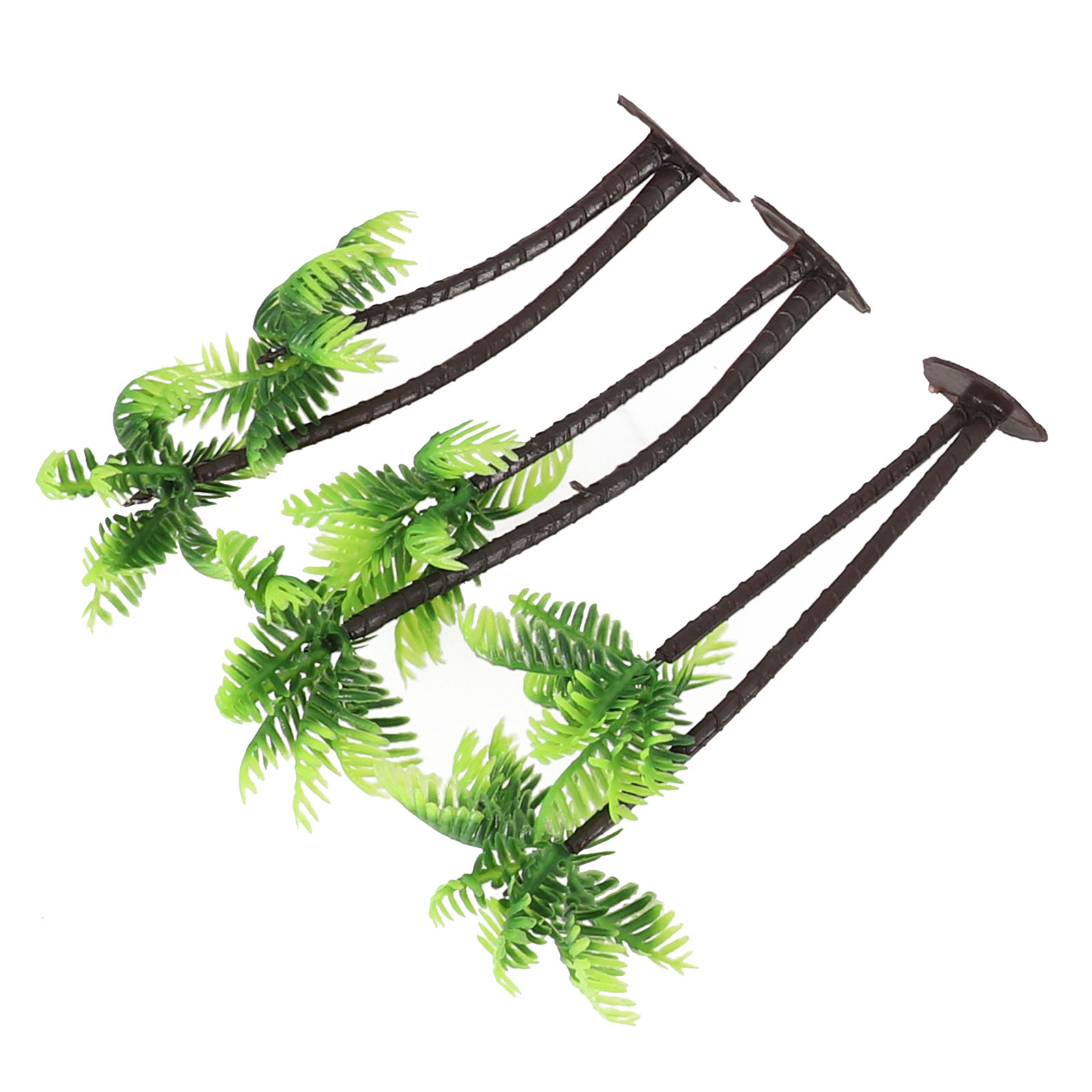 5Pcs For Mini Coconut Palm Tre - Bonsai Garden Set Up 评论和价格