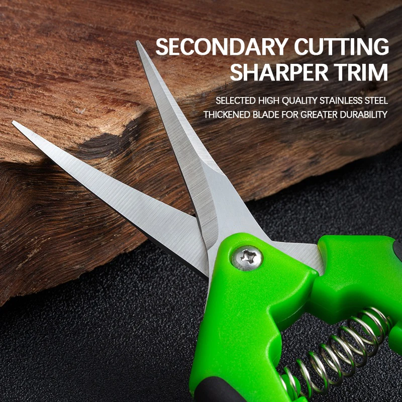 6.5-inch Pruning Scissors for  - Bonsai Garden Timings 评论和价格