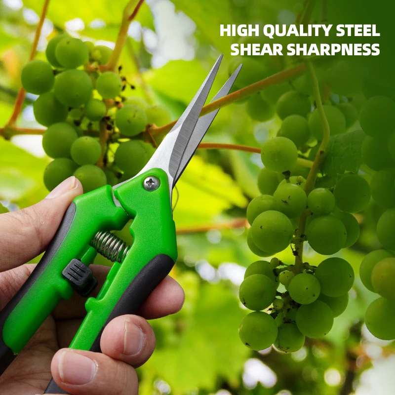 6.5-inch Pruning Scissors for  - Bonsai Garden Timings 评论和价格