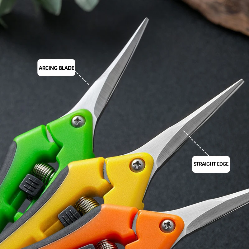 6.5-inch Pruning Scissors for  - Bonsai Garden Timings 评论和价格