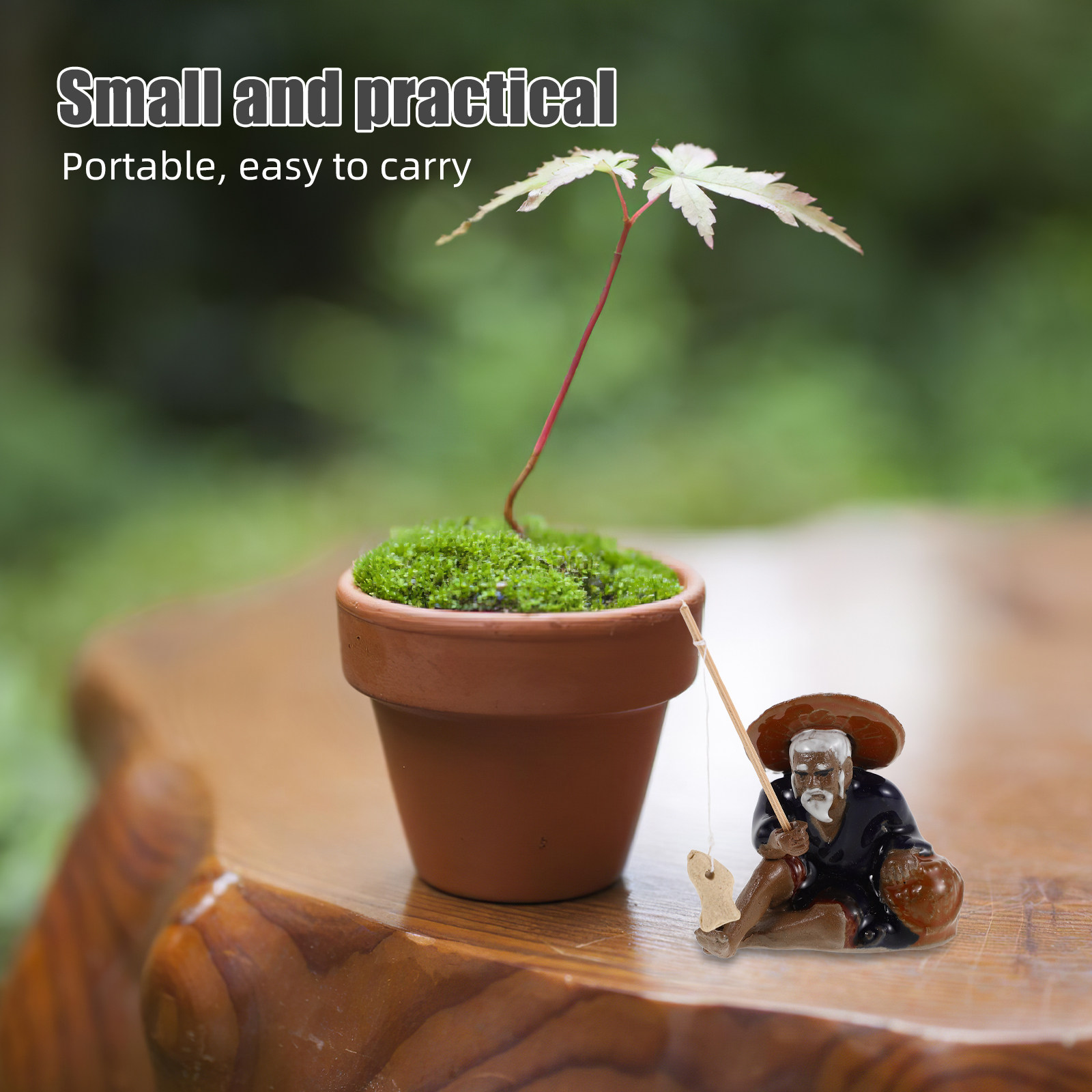 2Pcs Tiny Landscape Decoration - Bonsai Garden Set Up 评论和价格