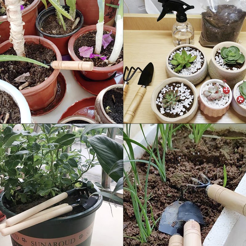 3PC/1Set Mini Gardening Tools  - Soil Scoop Tool 评论和价格
